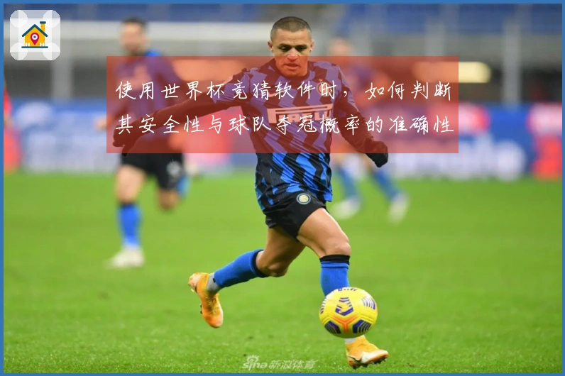 使用世界杯竞猜软件时，如何判断其安全性与球队夺冠概率的准确性？