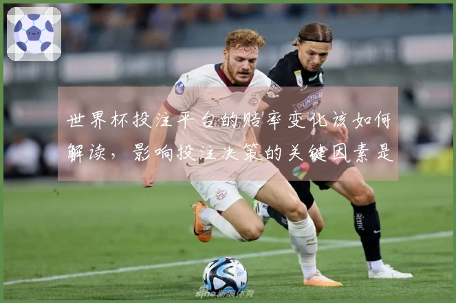 世界杯投注平台的赔率变化该如何解读，影响投注决策的关键因素是什么