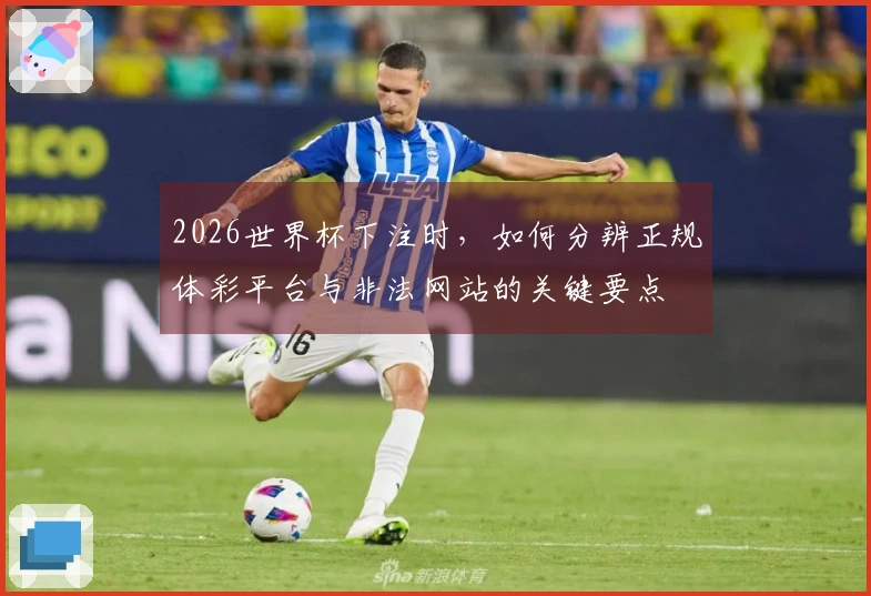 2026世界杯下注时，如何分辨正规体彩平台与非法网站的关键要点