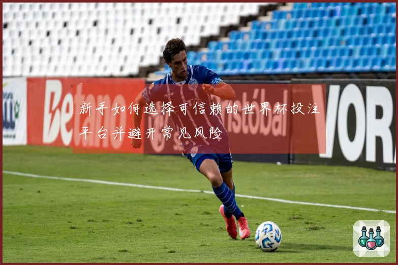 新手如何选择可信赖的世界杯投注平台并避开常见风险